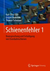 Schienenfehler 1