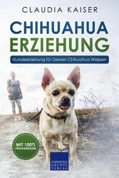 Chihuahua Erziehung