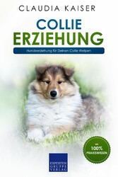 Collie Erziehung