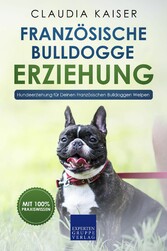 Französische Bulldogge Erziehung