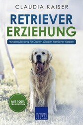 Retriever Erziehung