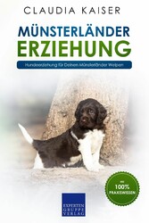 Münsterländer Erziehung