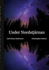 Under Nordstjärnan