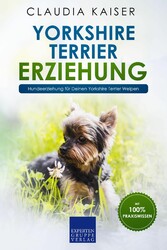 Yorkshire Terrier Erziehung