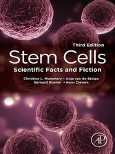 Stem Cells