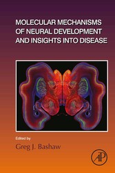 Molecular Mechanisms of Neural Development and Insights into Disease