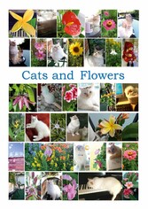 Cats and Flowers