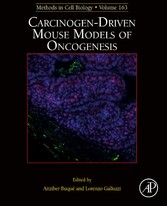 Carcinogen-Driven Mouse Models of Oncogenesis