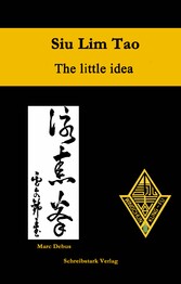 Siu Lim Tao - The little idea