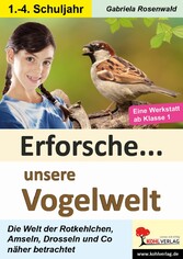 Erforsche unsere Vogelwelt