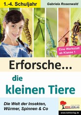 Erforsche die kleinen Tiere