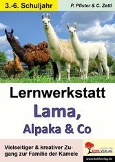 Lernwerkstatt Lama, Alpaka und Co