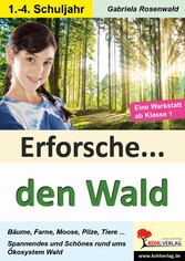 Erforsche den Wald