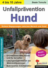 Unfallprävention Hund