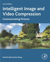 Intelligent Image and Video Compression