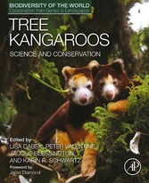 Tree Kangaroos