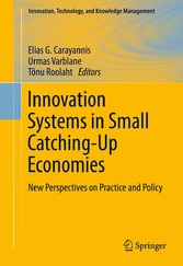 Innovation Systems in Small Catching-Up Economies