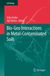 Bio-Geo Interactions in Metal-Contaminated Soils