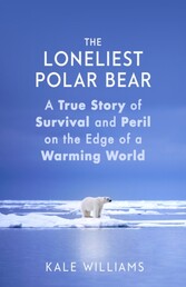 Loneliest Polar Bear