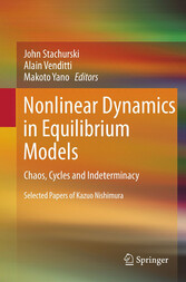 Nonlinear Dynamics in Equilibrium Models