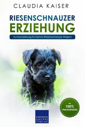 Riesenschnauzer Erziehung