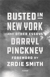 Busted in New York & Other Essays