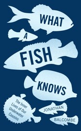 What a Fish Knows