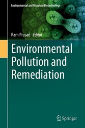 Environmental Pollution and Remediation