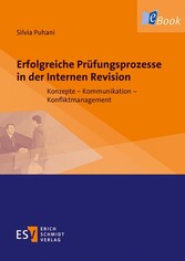 Erfolgreiche Prüfungsprozesse in der Internen Revision