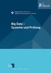 Big Data - Systeme und Prüfung