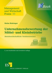 Unternehmensbewertung der Mittel- und Kleinbetriebe