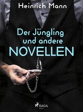 Der Jüngling und andere Novellen