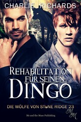 Rehabilitation für seinen Dingo