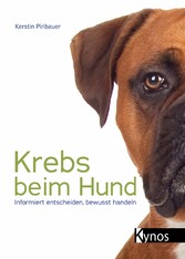 Krebs beim Hund