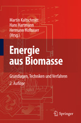 Energie aus Biomasse