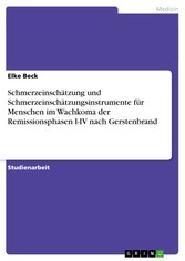 Schmerzeinschätzung und Schmerzeinschätzungsinstrumente für Menschen im Wachkoma der Remissionsphasen I-IV nach Gerstenbrand