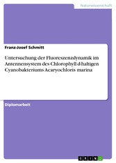 Untersuchung der Fluoreszenzdynamik im Antennensystem des Chlorophyll d-haltigen Cyanobakteriums Acaryochloris marina