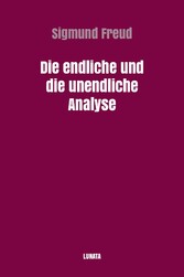 Die endliche und die unendliche Analyse