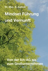 Mindset Führung und Vernunft