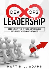 DevOps Leadership - Steps For the Introduction and Implementation of DevOps