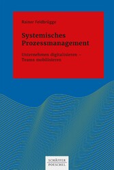 Systemisches Prozessmanagement