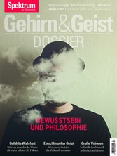 Gehirn&Geist Dossier - Bewusstsein und Philosophie