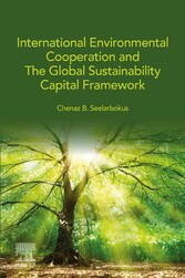 International Environmental Cooperation and The Global Sustainability Capital Framework