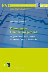 Kommunales Finanzmanagement