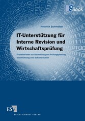 IT-Unterstützung für Interne Revision und Wirtschaftsprüfung