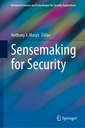 Sensemaking for Security