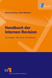 Handbuch der Internen Revision