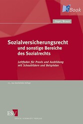 Sozialversicherungsrecht und sonstige Bereiche des Sozialrechts