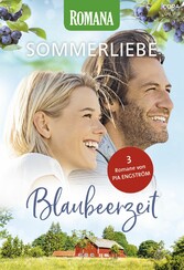 Romana Sommerliebe Band 7