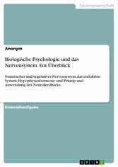 Biologische Psychologie und das Nervensystem. Ein Überblick